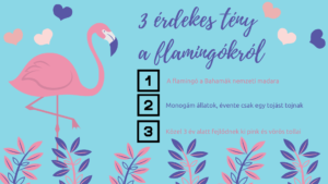 Flamingo 3 tény