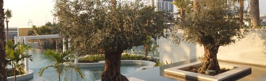 Address Beach Resort*****