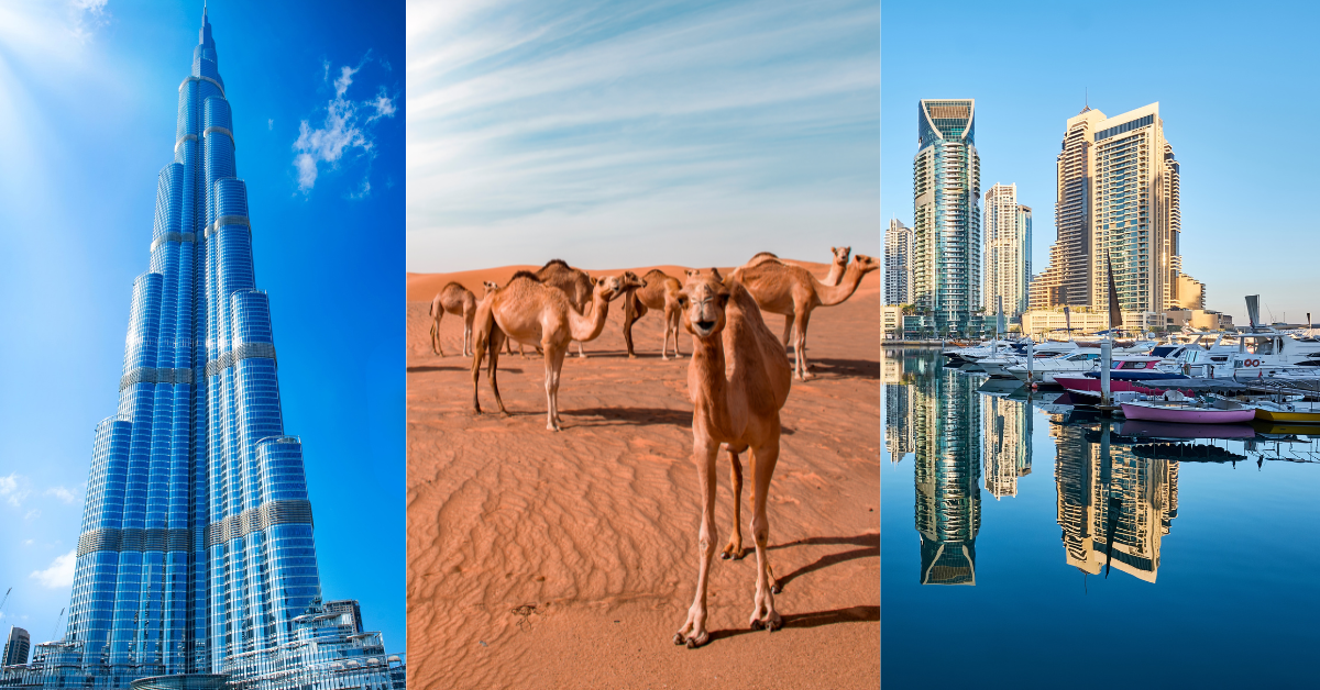 Dubai csomagajánlat szállás transzfer program